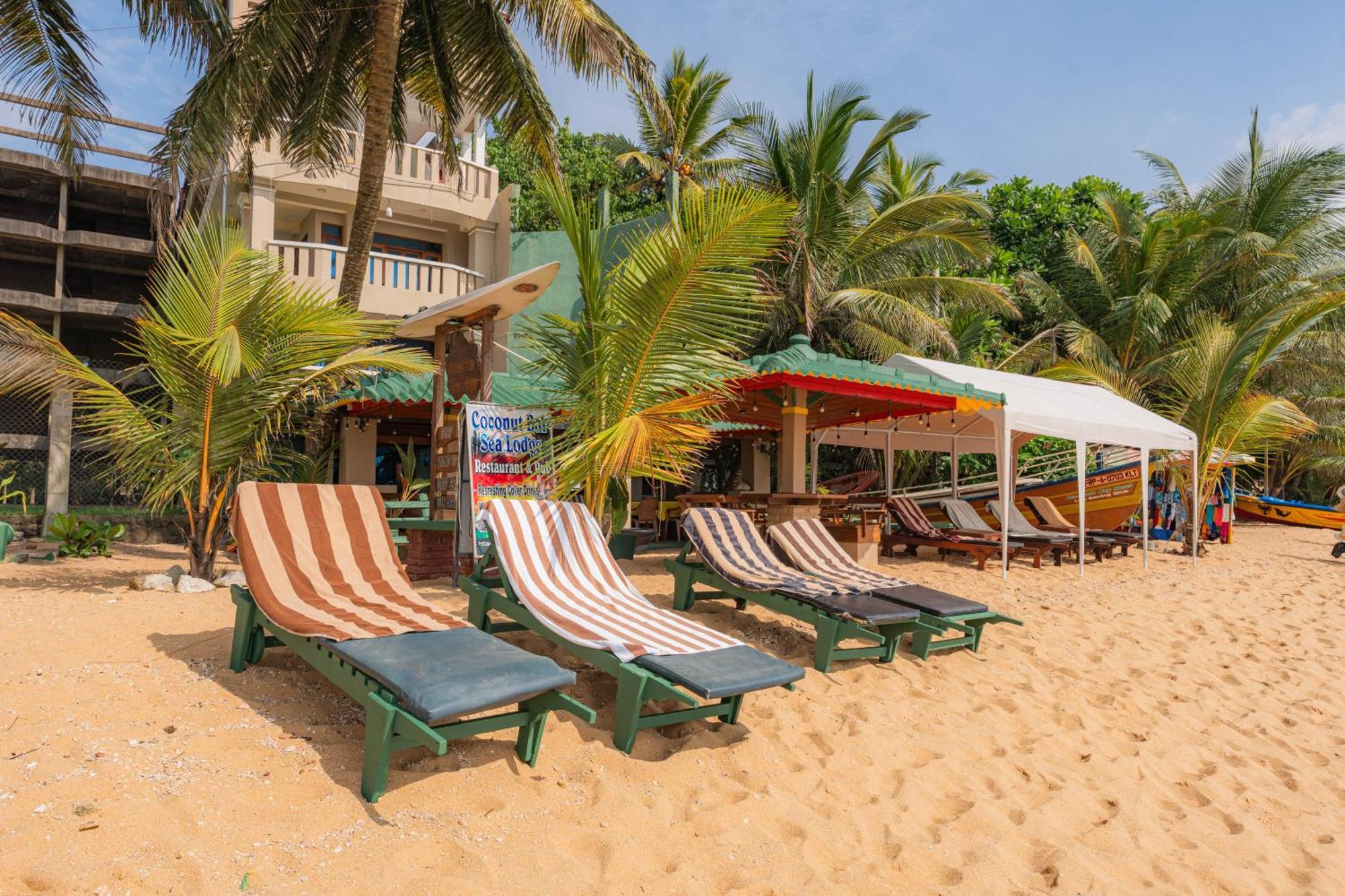 Hotel Coconut Bar Sea Lodge Beruwala Exterior photo