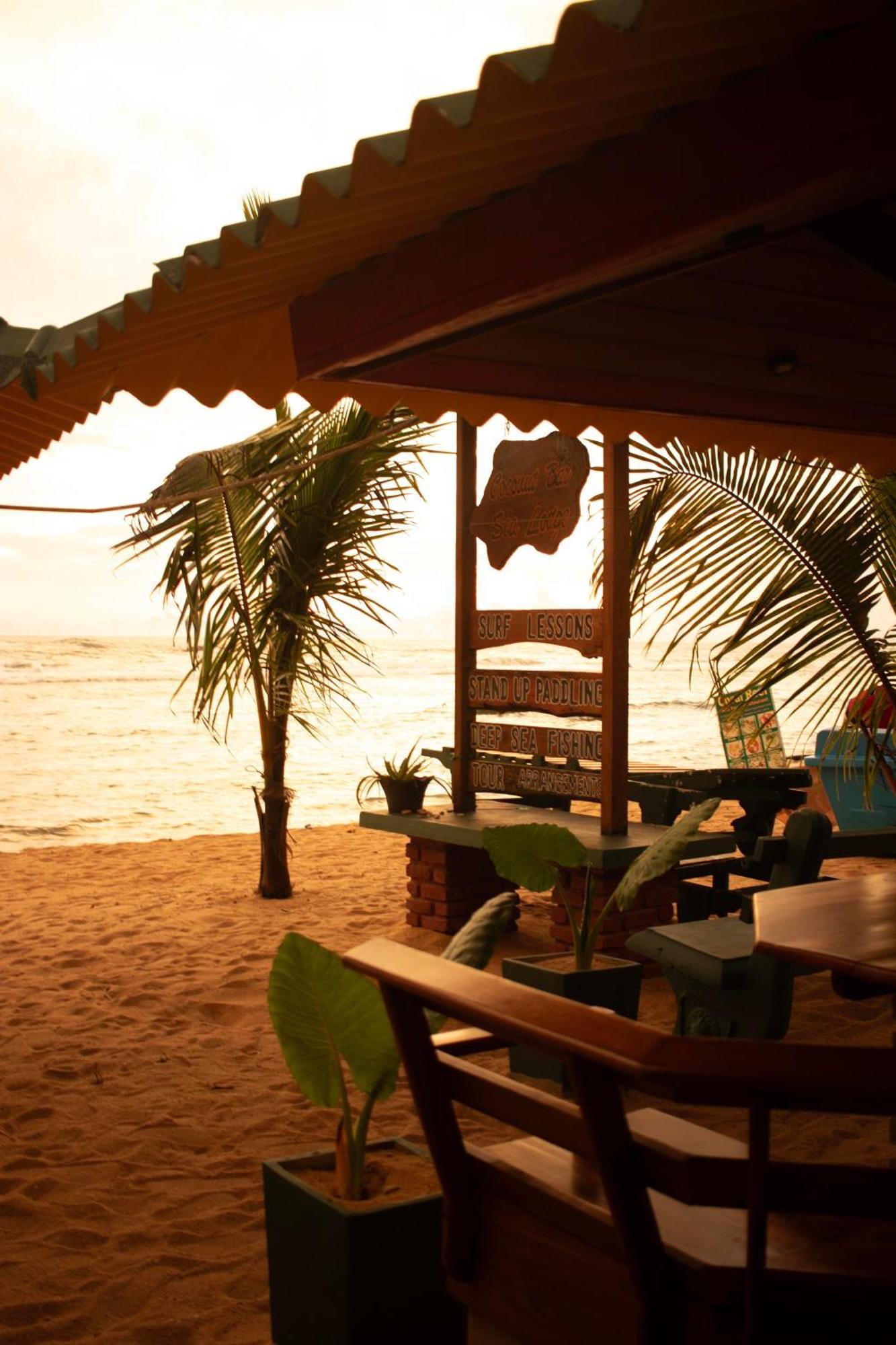 Hotel Coconut Bar Sea Lodge Beruwala Exterior photo